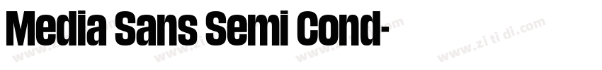 Media Sans Semi Cond字体转换